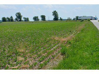 Property photo 99 - LAND AUCTION - 700+/- ACRES OFFERED IN 16 TRACTS IN ALLEN COUNTY, INDIANA